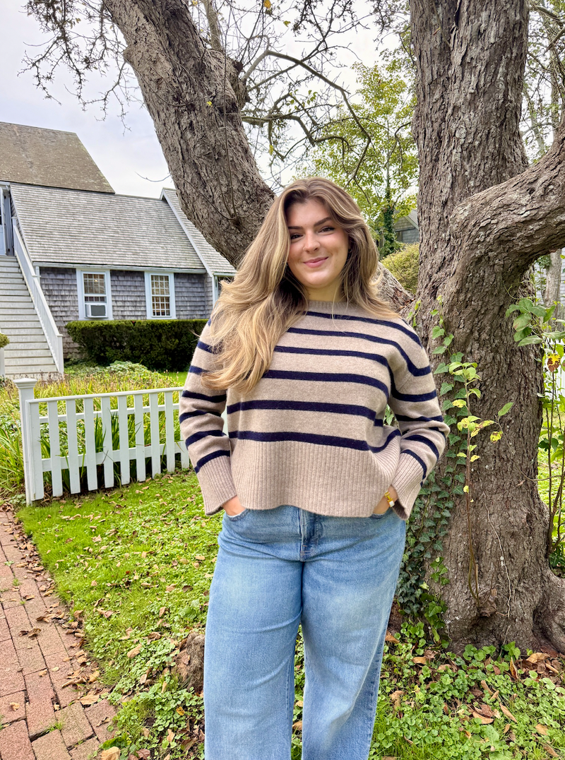 Stripe Perfect Day Crew