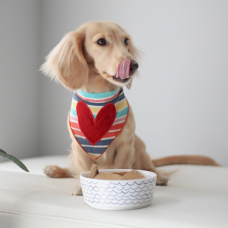 Sketched Wave Dog Bowl - Small