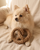 Pretzel Rope Dog Toy