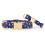 Foggy Dog Regatta Dog Collar