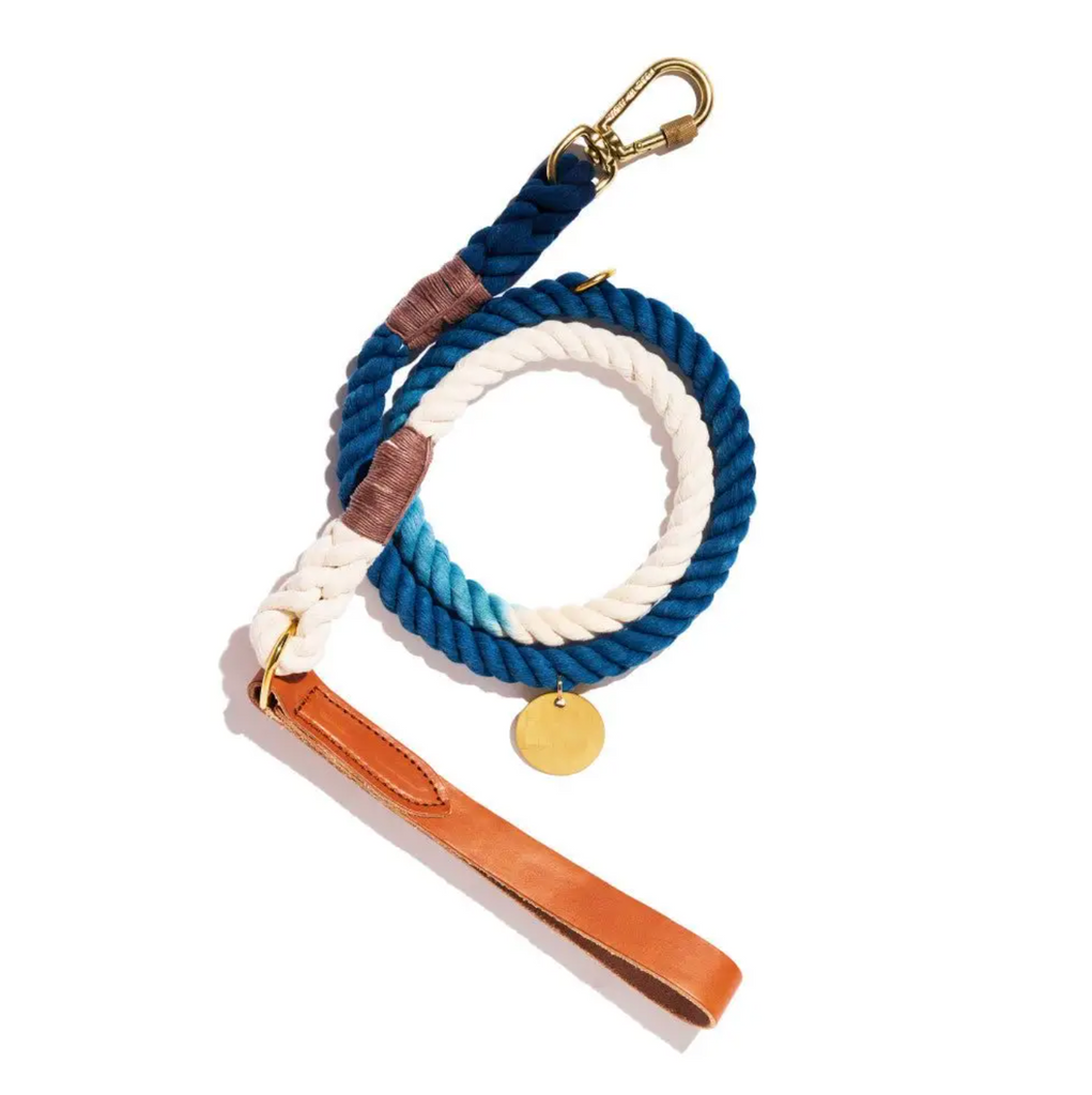 Standard Rope & Leather Dog Leash - Indigo