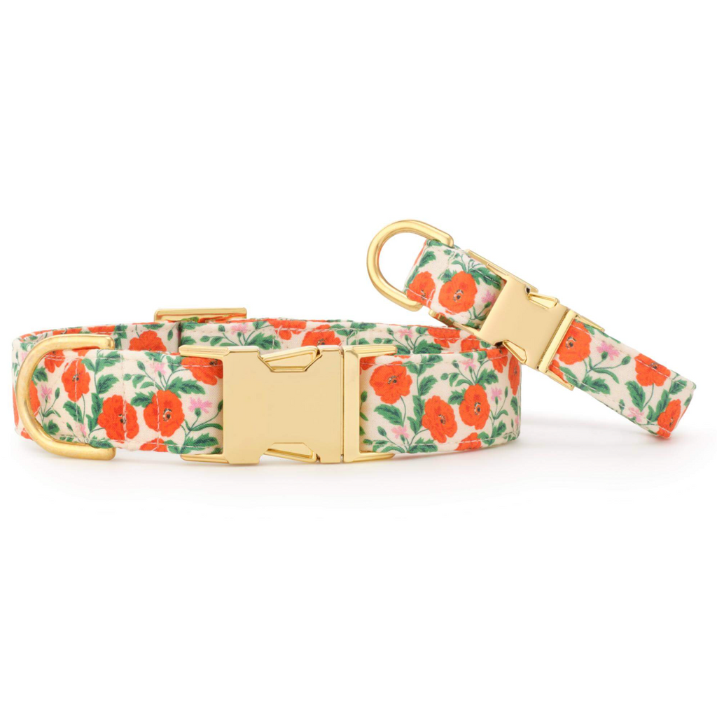 Foggy Dog Golden Poppies Dog Collar