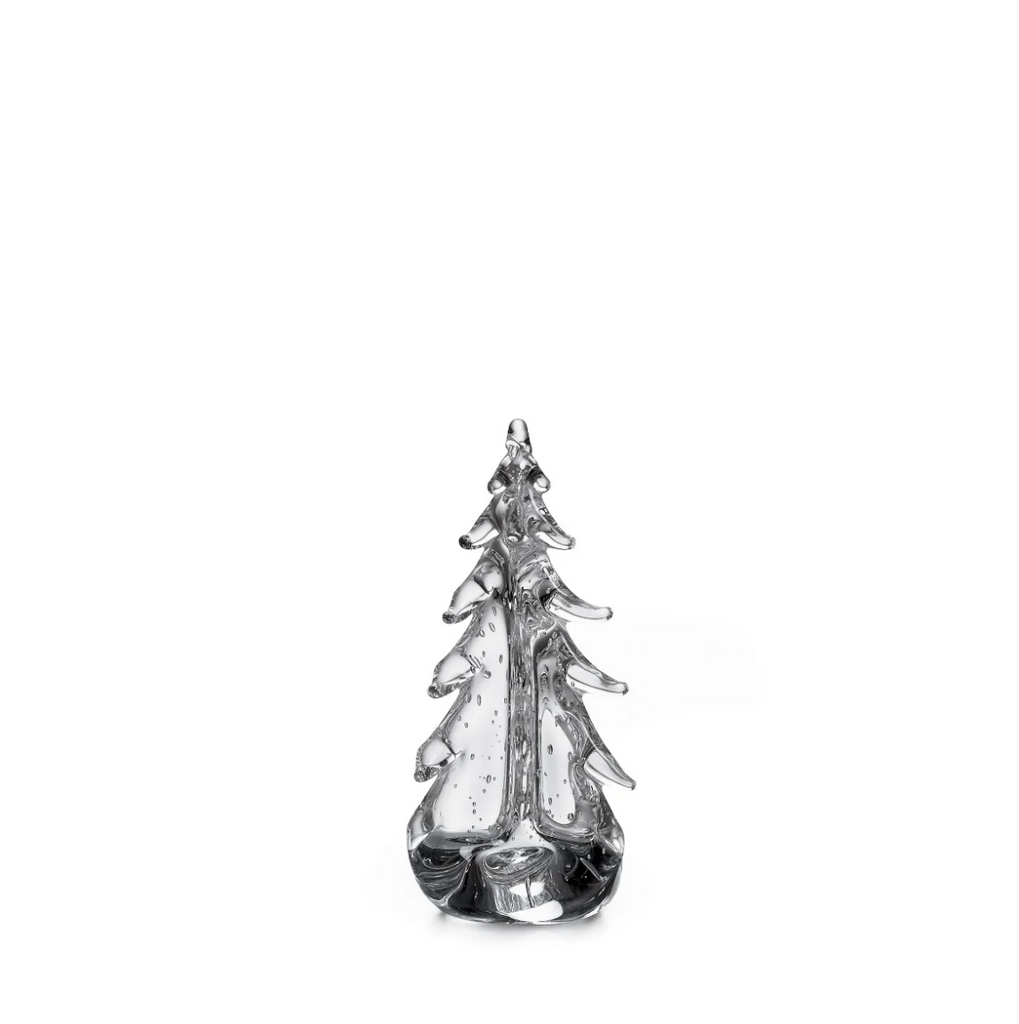 Bubble Evergreen - 8"