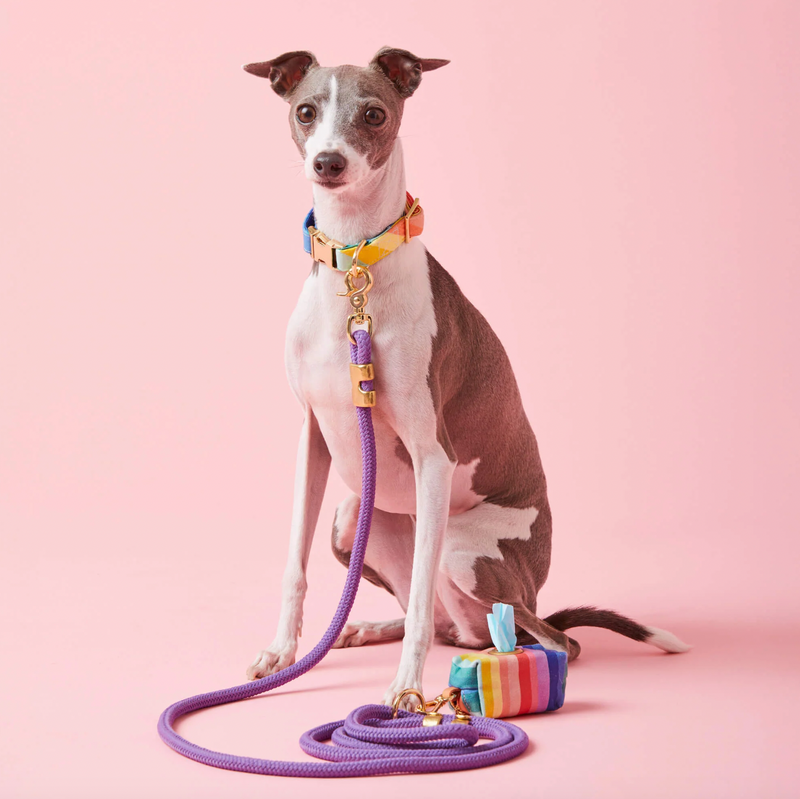 Over The Rainbow Dog Waste Bag Dispenser