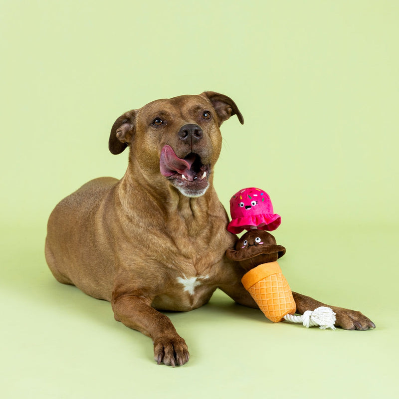 Losing Cone-Trol Rope Dog Toy