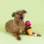 Losing Cone-Trol Rope Dog Toy