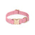 Waterproof Cloud Dog Collar