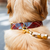 Foggy Dog Maple Plaid Flannel Dog Collar