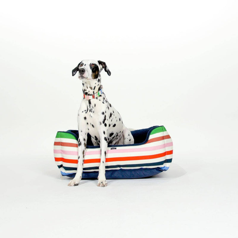Adventure Stripe Pet Bed