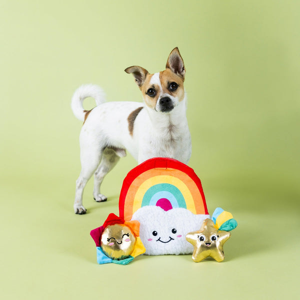 Look On The Bright Side Interactive Dog Toy