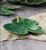 Caterpillar Fig Leaf Plate