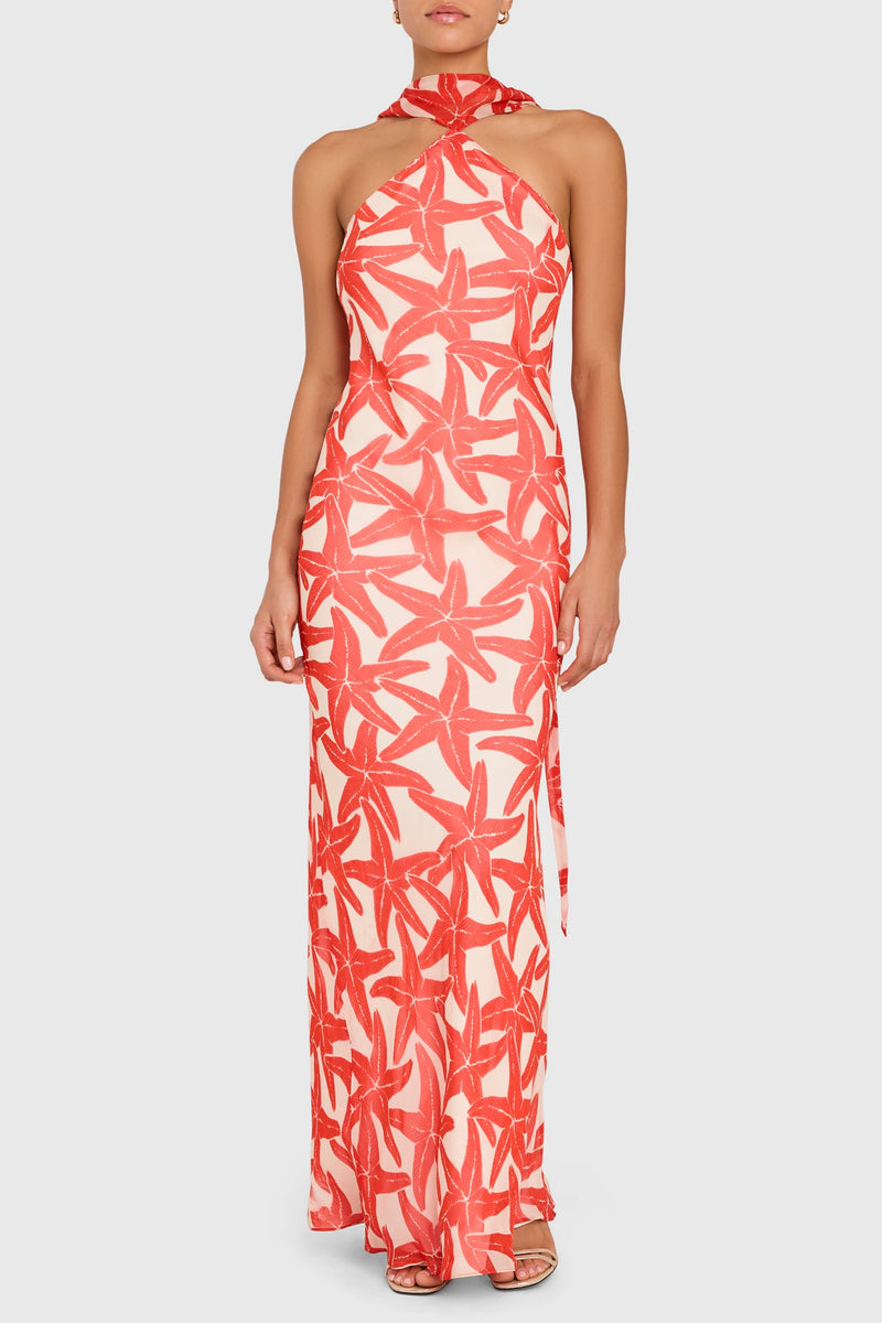 Ashton Maxi - Starfish Print