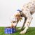 Large Dog Bowl