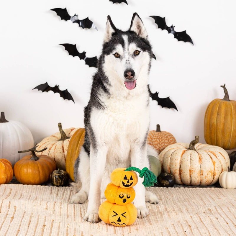 Stack-O-Lantern Pumpkin Dog Toy