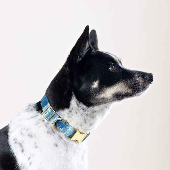 Foggy Dog Indigo Mud Cloth Dog Collar