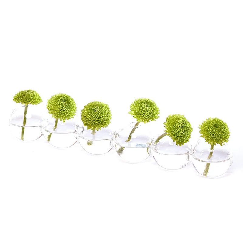 Hudson Big Caterpillar Glass Flower Vase