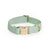 Waterproof Cloud Dog Collar