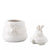 Henrietta Honey Pot - Whitewash