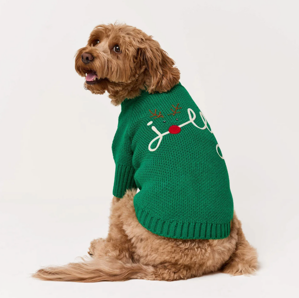 Foggy Dog Jolly Dog Sweater