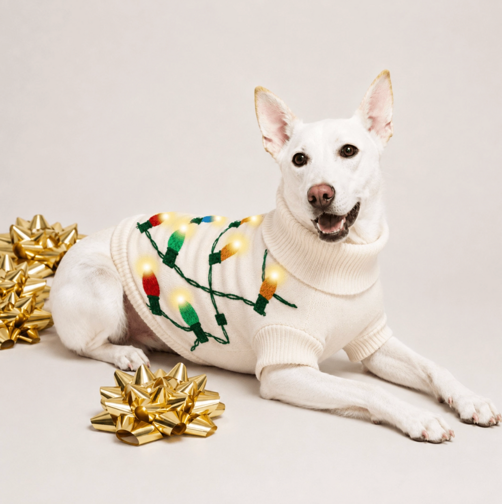 Vintage LED Lights Dog Sweater