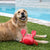 Claws Crab Floating Dog Toy