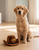 Brown Western Cowboy Hat Dog Toy