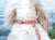 Waterproof Cloud Dog Collar