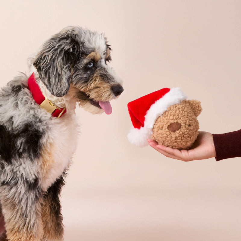 Santa Teddy Bear 2 in 1 Bounce Toy