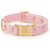 Foggy Dog Blush Pink Candy Cane Embroidered Dog Collar