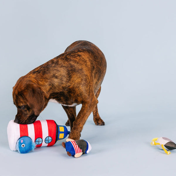 Ships Ahoy Interactive Dog Toy