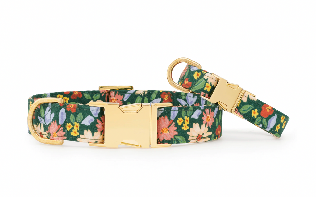 Secret Garden Dog Collar