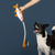 On The Line Fishing Plush Dog Toy