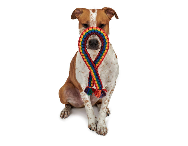 Rainbow Rope Dog Toy