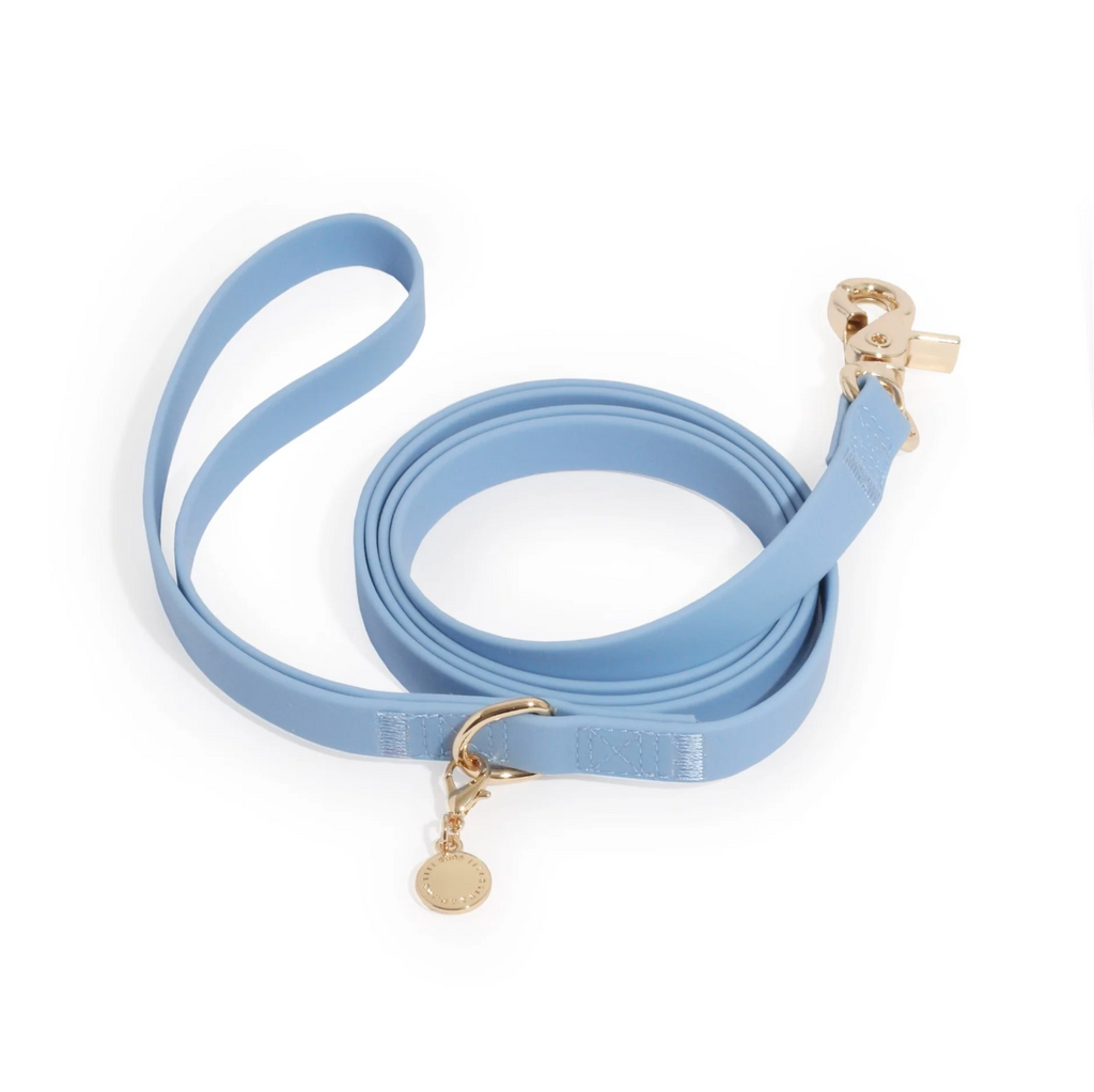 Waterproof Cloud Dog Leash