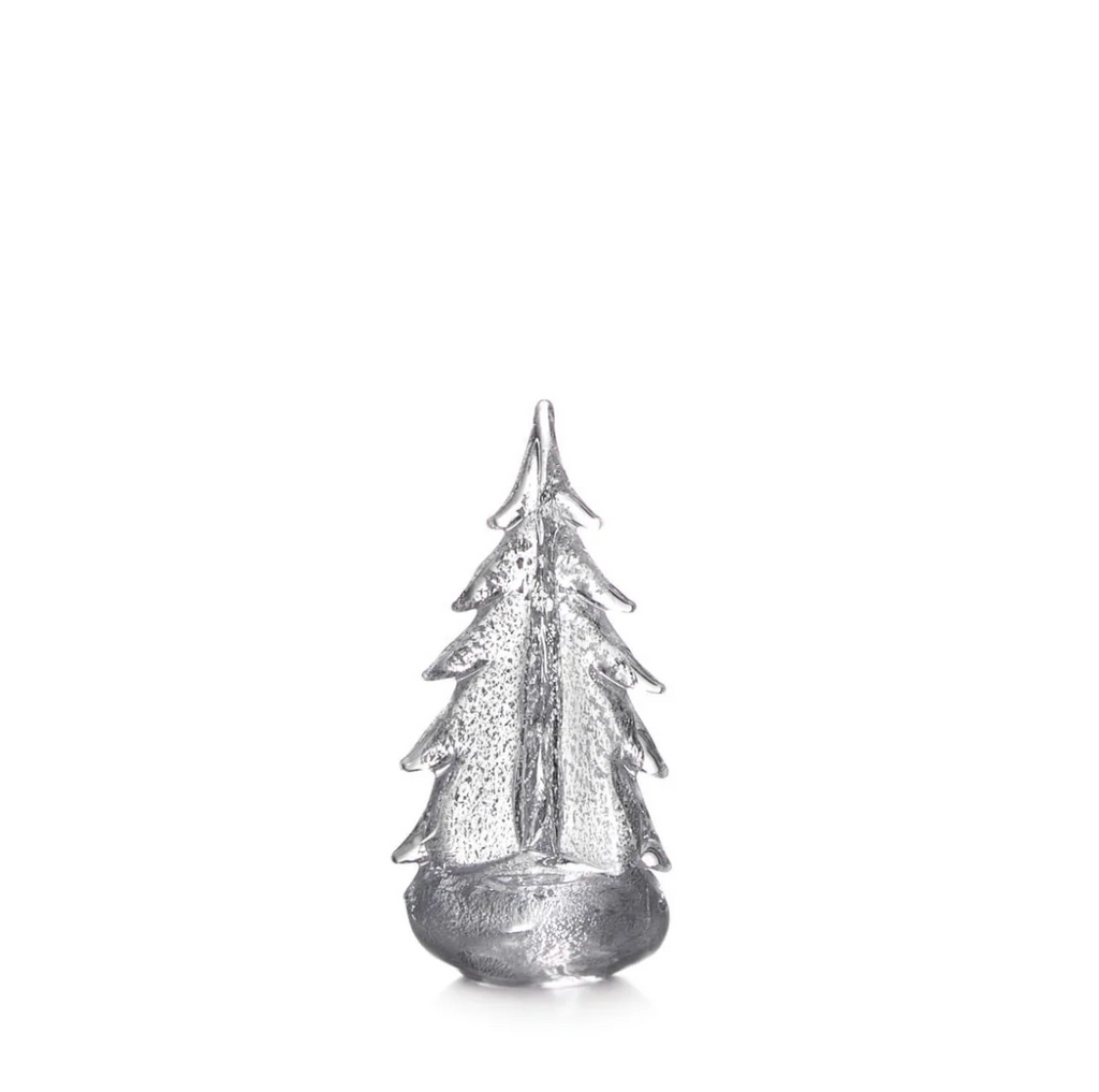 Silver Leaf Evergreen - 10"