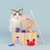 This Shore Is Fun 6 Piece Cat Toy Set
