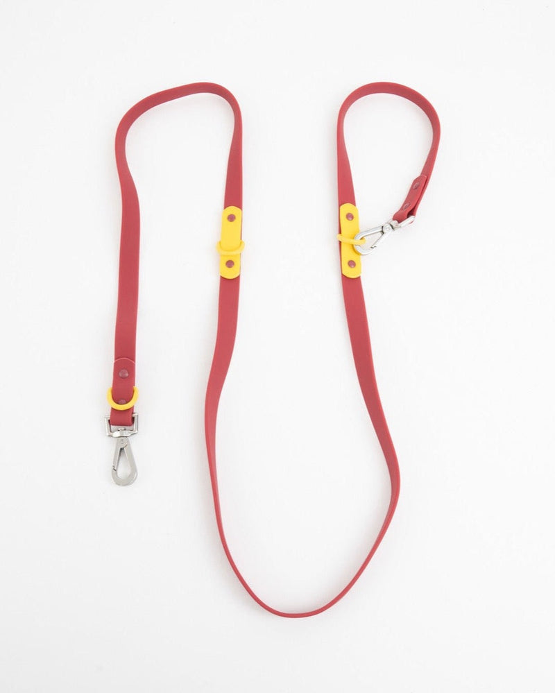 The Fritz Leash