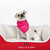 Red & Pink Call It A Day Pet Bed