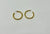 Delphi Hoop - Gold