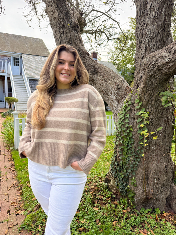 Stripe Perfect Day Crew