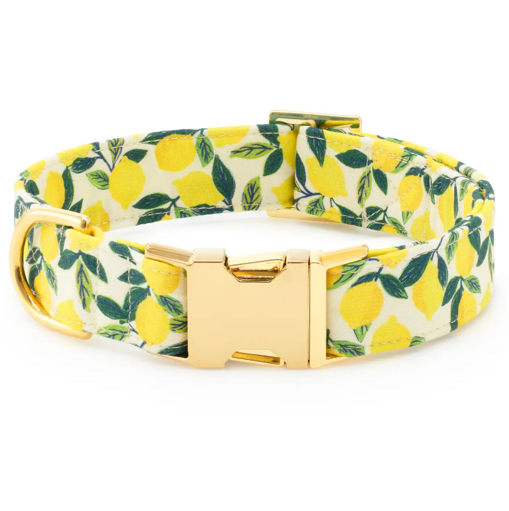 Lemon Zest Dog Collar
