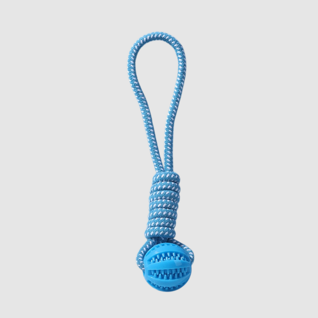 Interactive Rope Chew Toy