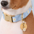 Foggy Dog Daisy Embroidered Dog Collar