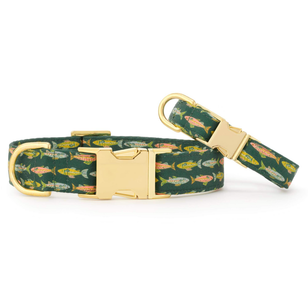 Foggy Dog Gone Fishing Dog Collar