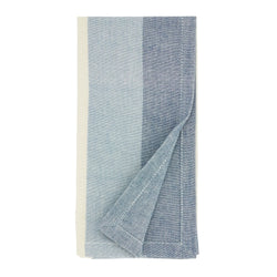 Block Stripe Cotton Napkin Set - Blue