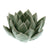 Succulent Tea Light Holder - Pale Blue