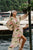 Noddy Dress - Portofino Polka Dot