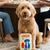 Muttjong Tile Plush Dog Toy