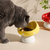 Tall Tilted Mushroom Ceramic Pet Dish