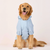 Pet Raincoat